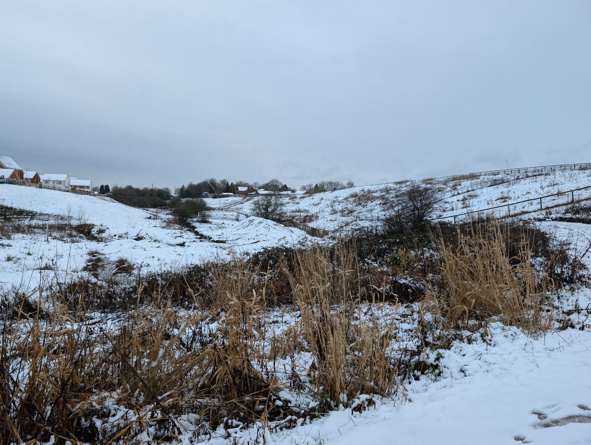 Oldham Weather tweet media