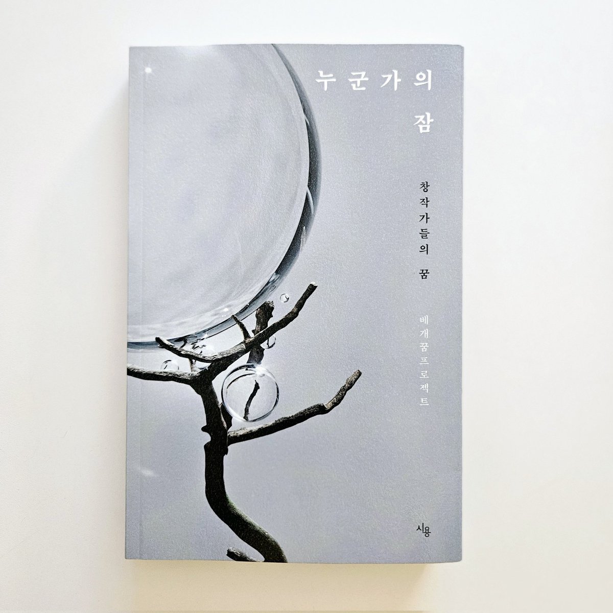 shshphshs's tweet photo. 베개 꿈 프로젝트 『누군가의 잠』에 짧은 소설을 발표했습니다. 저는 젤리가 꾸는 꿈에 관한 글을 실었습니다. 
사람은 환상적인 꿈을 꾸는데, 사람이 아닌 젤리는 어떤 꿈을 꿀까? 하는 궁금증으로 시작한 이야기입니다. https://t.co/cqS1Nfjlyq