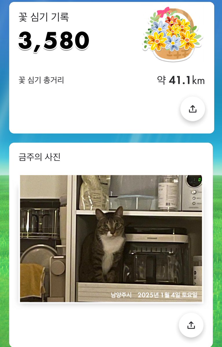 피크민 금주의 사진