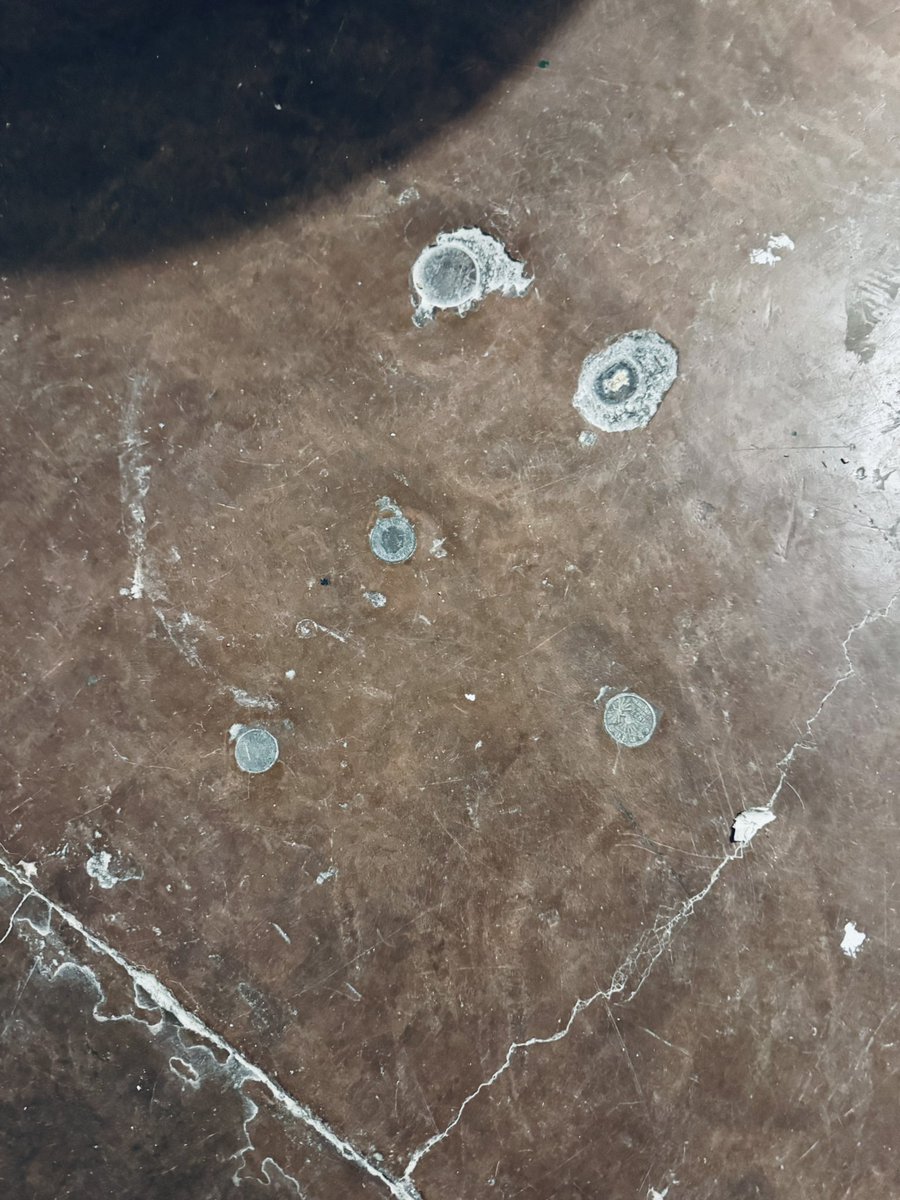 Enrique Lavigne tweet media