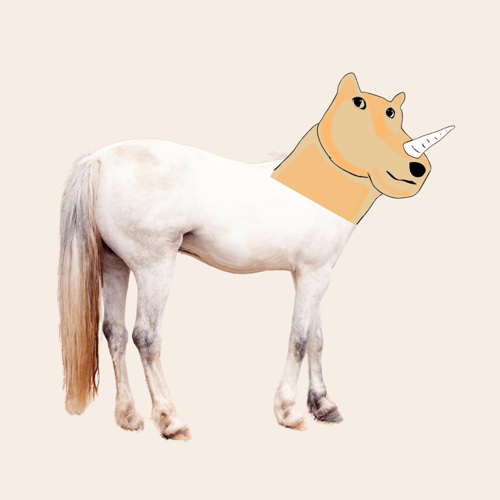 Dogicorn_CTO's tweet photo. Feeling Corny 😘

#Dogicorn https://t.co/ryoxpFJ3lK