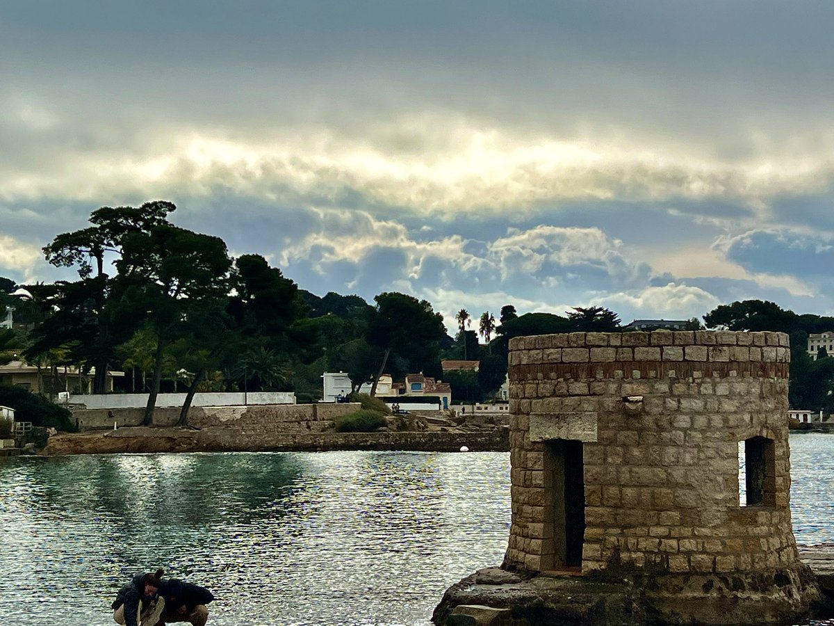 𓂀 Brigitte B ♡🇫🇷♡ tweet media