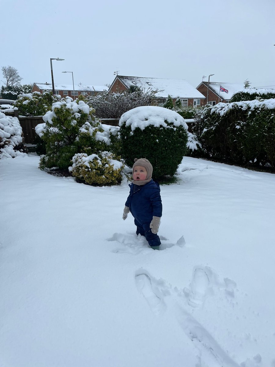 talbot_beth's tweet photo. Mornings in the snow ⛄️❄️🌨️
@_Si_Griff https://t.co/oycZfzqkHY