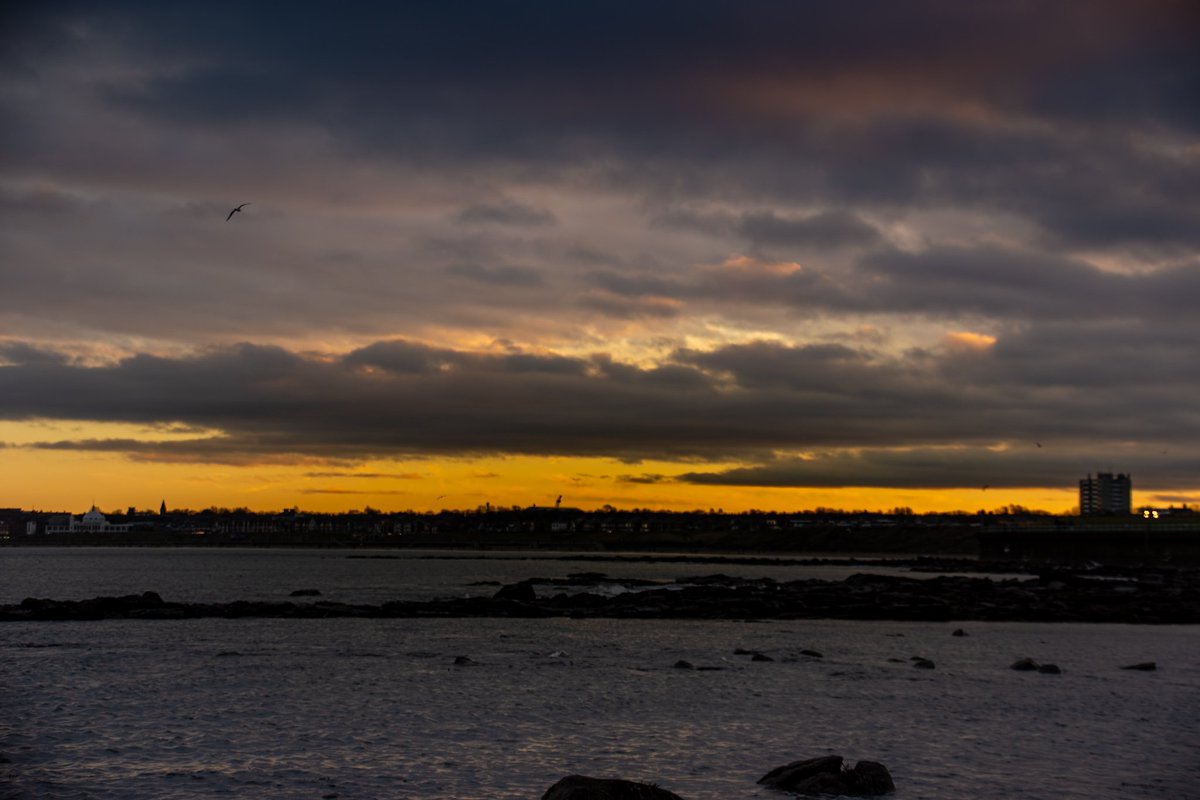 hsppysnapper's tweet photo. Whitley Bay sunset #OrangeColor #Beach #Horizon #Coast #DramaticSky #Shore #Landscape #Outdoors #Evening #Cloud #Nature #Idyllic #ScenicsNature #BodyOfWater #Ocean #Tranquility #Sea #Sky #Afterglow #Sunset https://t.co/y8Q3DdAdAK
