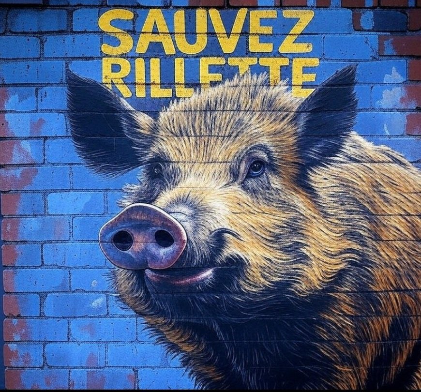 AAnomalie's tweet photo. #sauvezrillette https://t.co/8l13PGRTfX