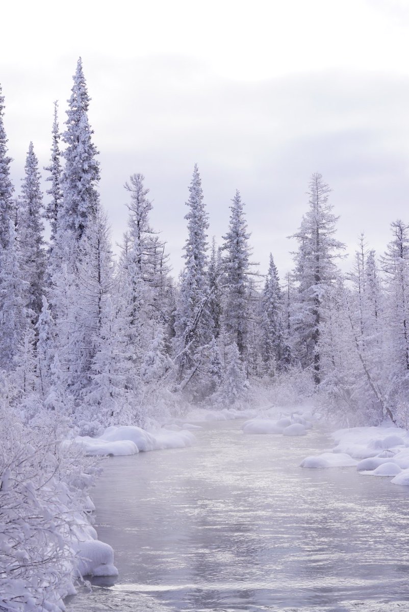 Жаргантын гол