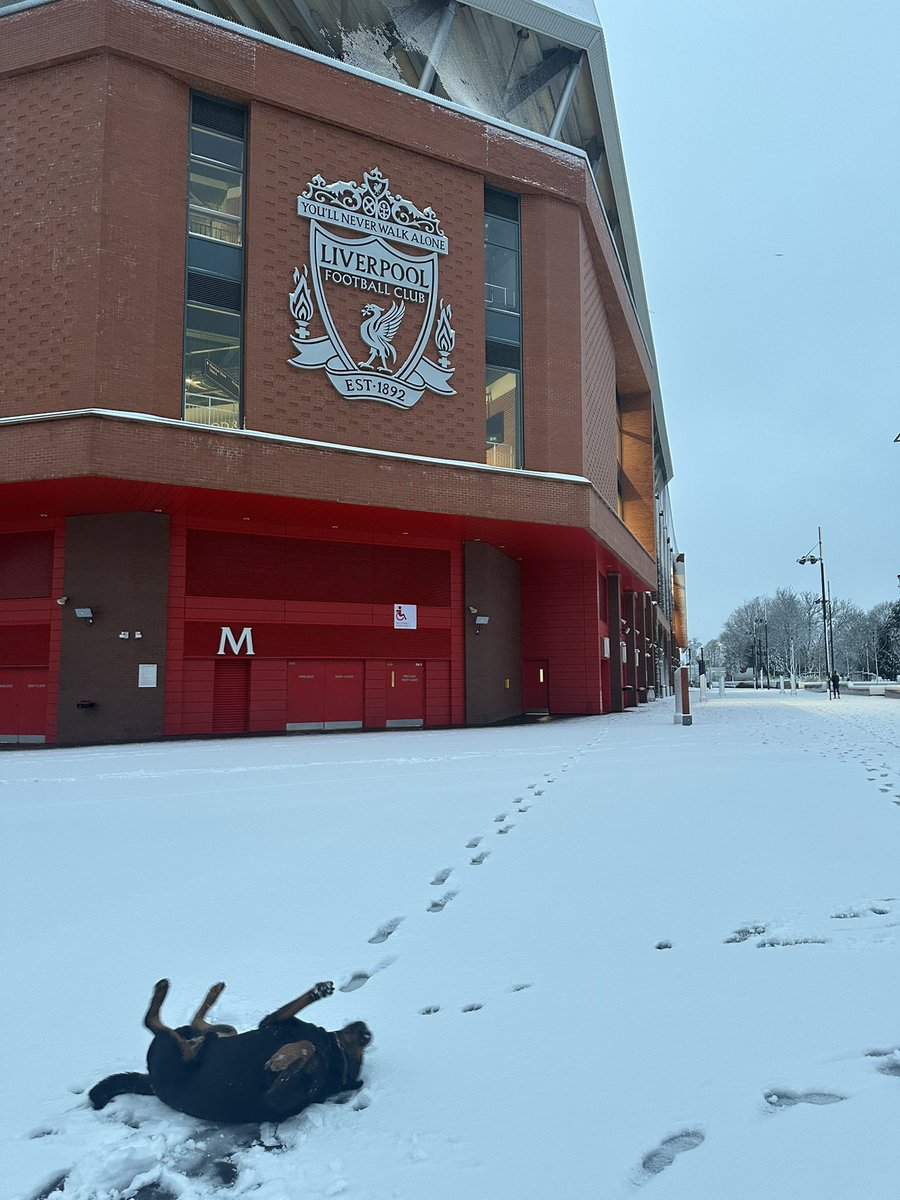 Actu Foot tweet media