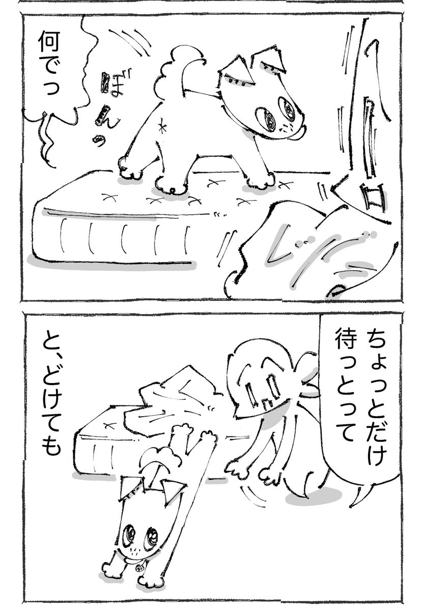 【2/3】 