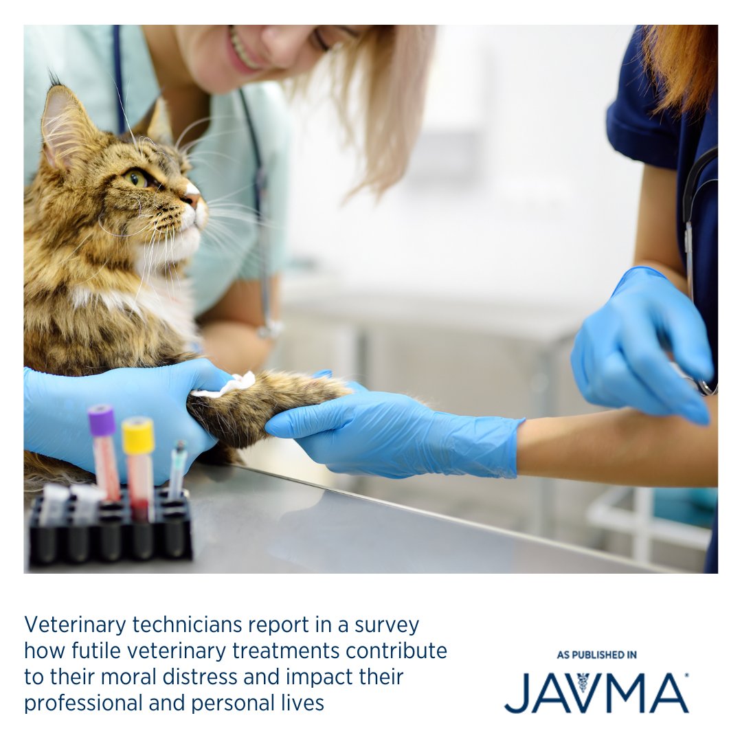 AVMAJAVMA's tweet photo. Targeting ways to mitigate moral distress due to experiences with #futility may increase retention and career satisfaction of veterinary technicians. Open access article: https://t.co/L6KYhBKziP #moraldistress #attrition #burnout #ethics @cornellvet @bluepearlvet @HMSbioethics https://t.co/sJmfWd3GXJ