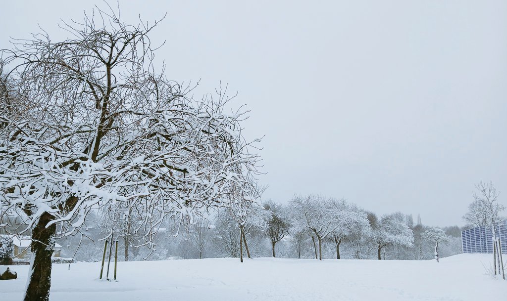 Matthew122333's tweet photo. 7" of #uksnow in West Yorkshire this morning.⛄️ ❄️ https://t.co/aRWoCLHskj