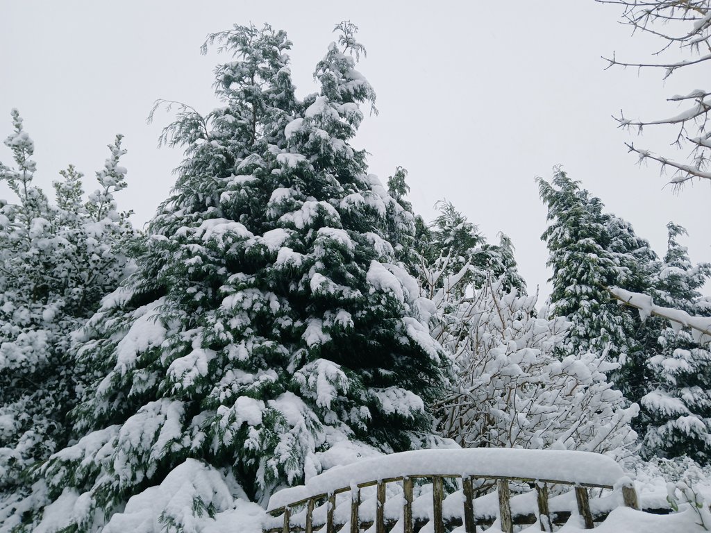 Matthew122333's tweet photo. 7" of #uksnow in West Yorkshire this morning.⛄️ ❄️ https://t.co/aRWoCLHskj