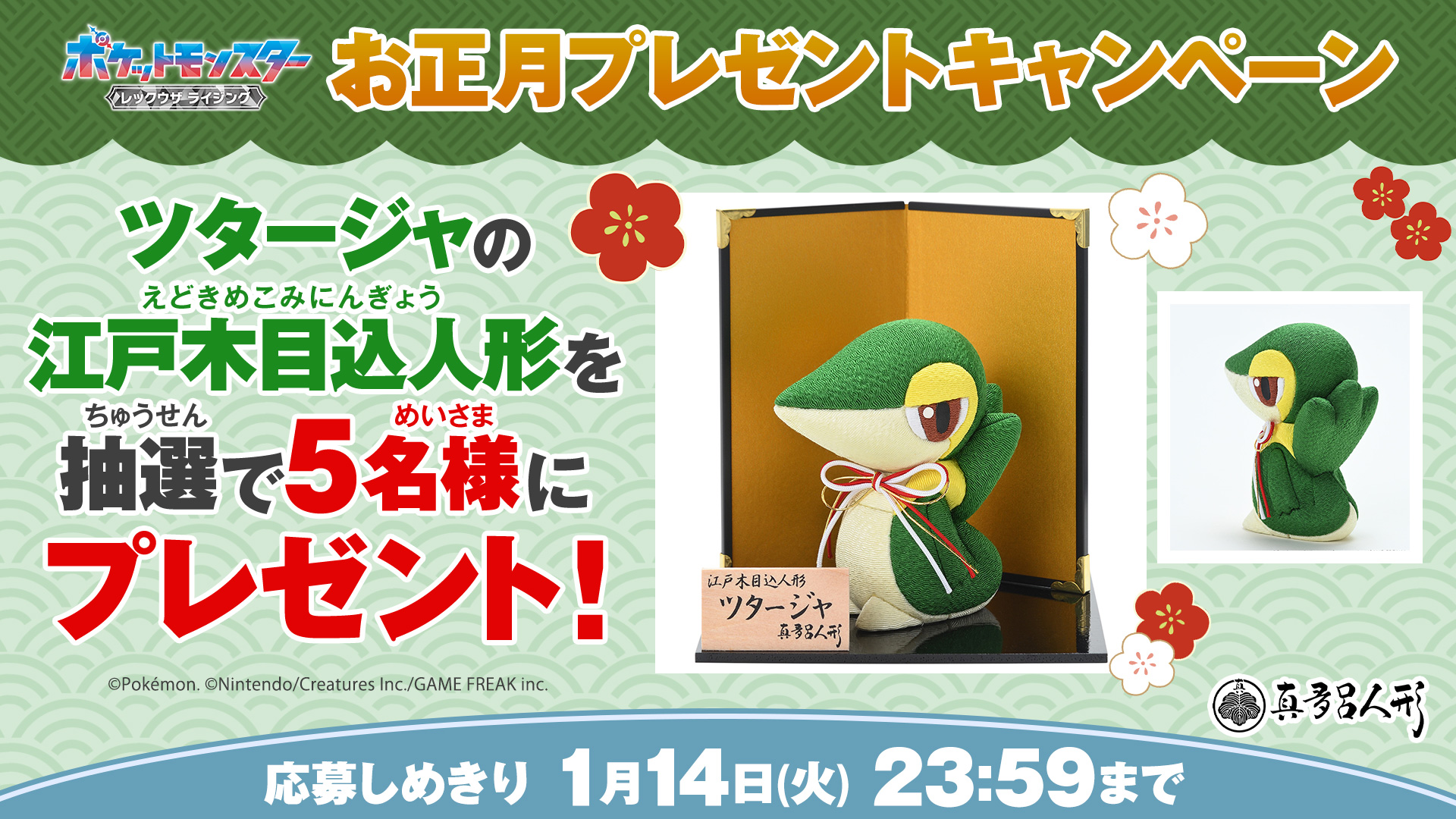 Pokémon Grassy Gardening ツタージャ くさタイプのポケモンたちを