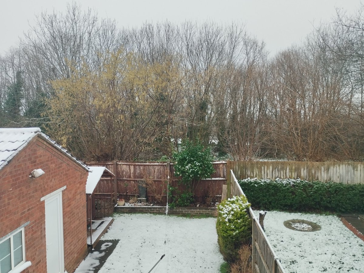 Aw, it's already raining 😶