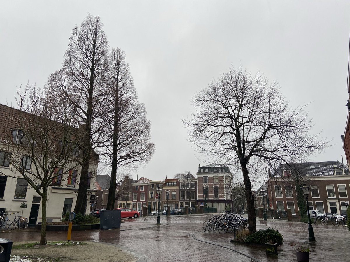 LatynNL's tweet photo. Twee Chinese watercipressen, een Kaukasische vleugelnoot en een Hollandse linde gezellig bijeen in het zicht van de Jan Vossenbrug in Leiden.

Winterbeelden van bomen; ik vind dat wonderschoon.

Benieuwd welke boomsoorten je tegen kunt komen: zie de openbomenkaart.

#OBK #Leiden https://t.co/3KWBKtnBth