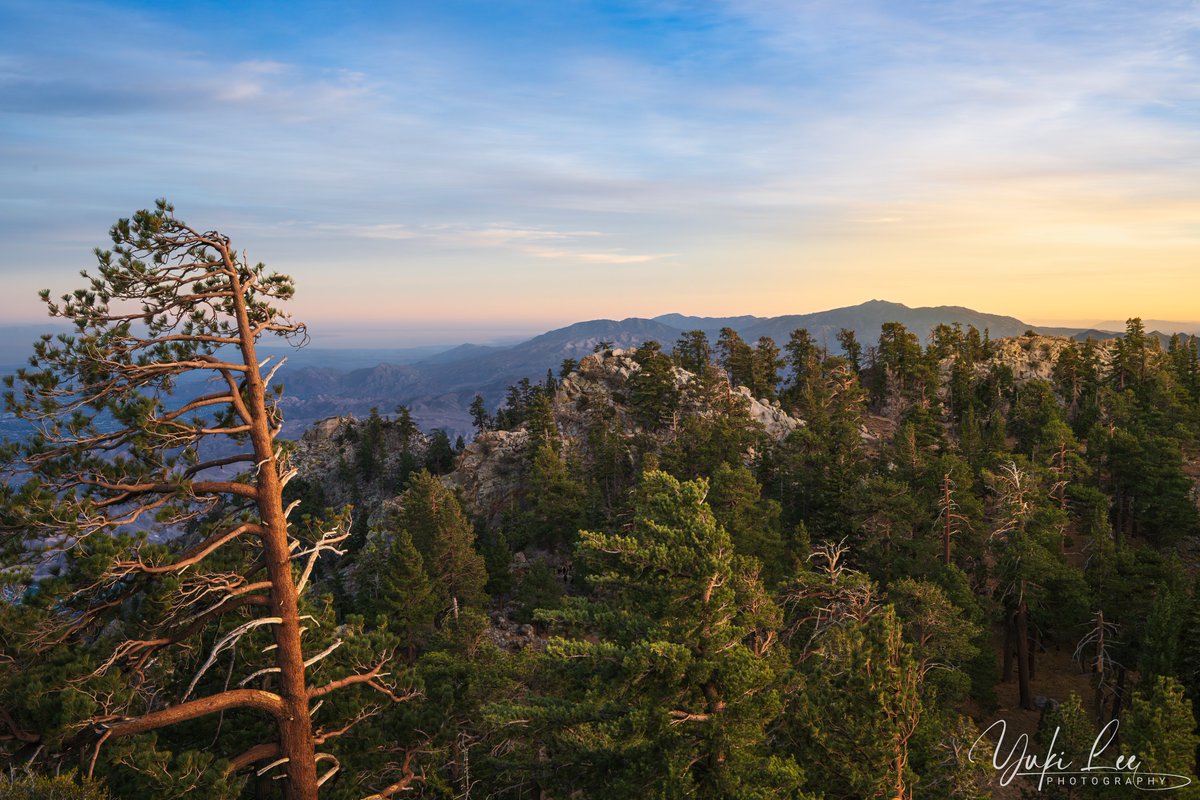 YukiLee_Images's tweet photo. Morning all! Time for #SundaySharing and #Photooftheweek !
Lots to choose from - a good sign for 2025.
Please join in, every #Sunday: Share/QP your own favourite photo of the week - no theme!
Mine is from a top Palm Springs Aerial Tram at sunset.
#TwitterPhotoCommunity https://t.co/LX4yLCMRSQ