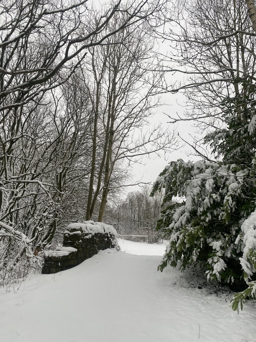 The last day of the Christmas break was magical ❄️