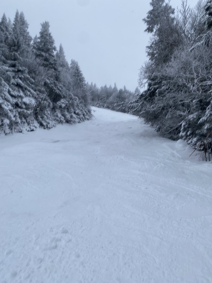 Lincoln in the Adirondacks ⛷️ tweet media