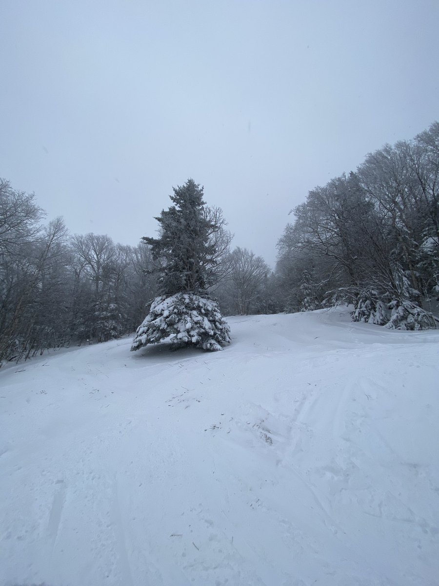 Lincoln in the Adirondacks ⛷️ tweet media