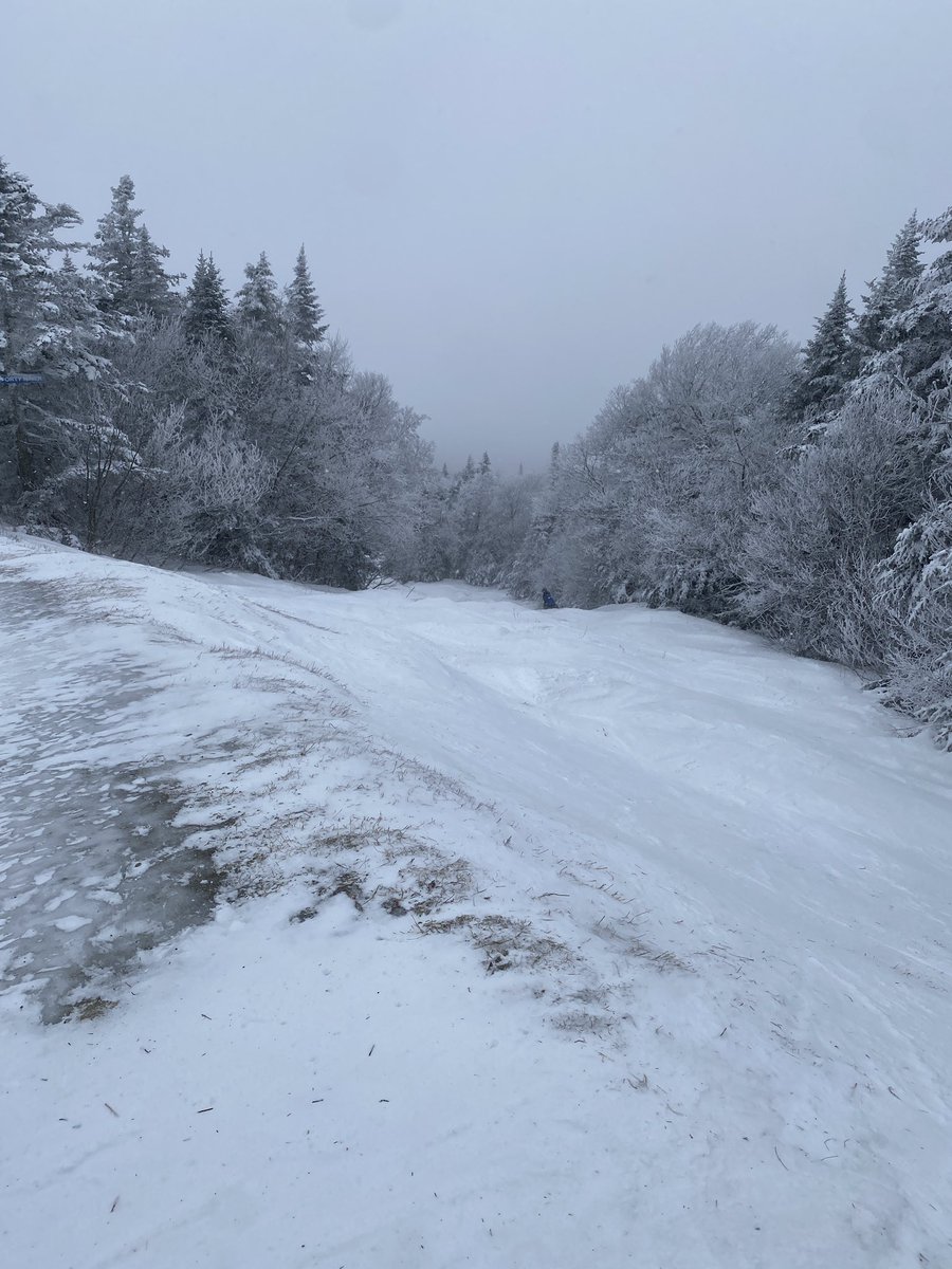 Lincoln in the Adirondacks ⛷️ tweet media