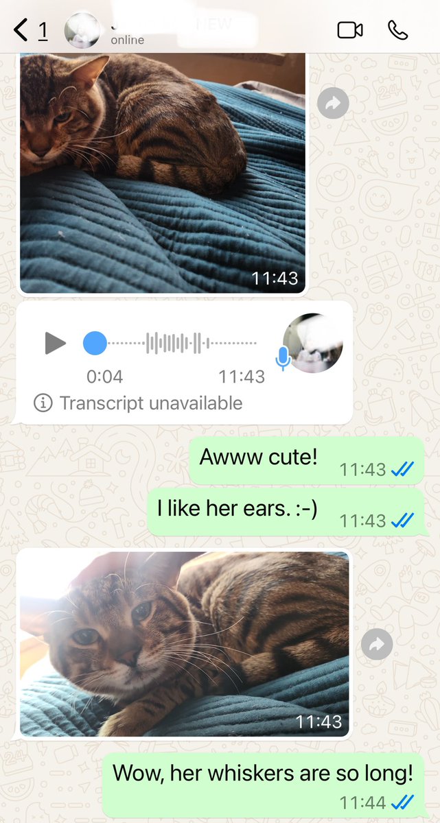 When your little autistic friend across the hall has an awesome mother who is very in tune and allows him to use her WhatsApp to create and send you messages about his cat. 💕