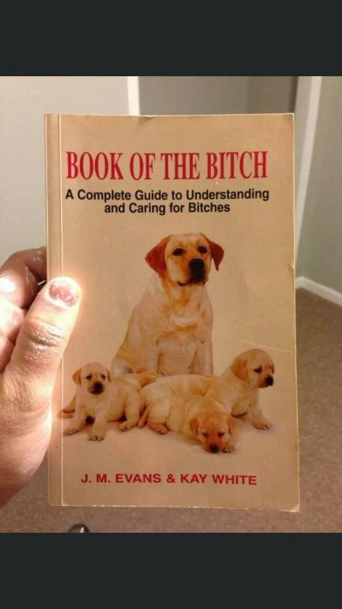 DamyanStoyanov2's tweet image. #BookOfTheBitch
#DogTraining
#UnderstandingDogs
#PetCare
#DogLovers