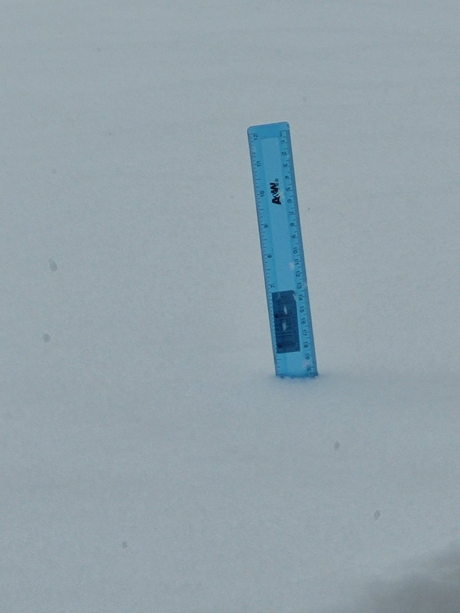 WileyJoseph's tweet photo. 4 inches in Versailles so far! @Kentuckyweather https://t.co/KMaB4xGmJU