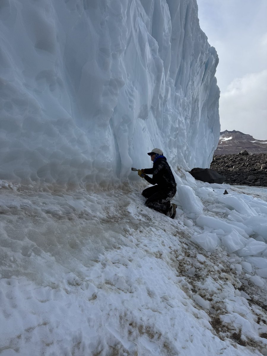 Dan Morgan tweet media