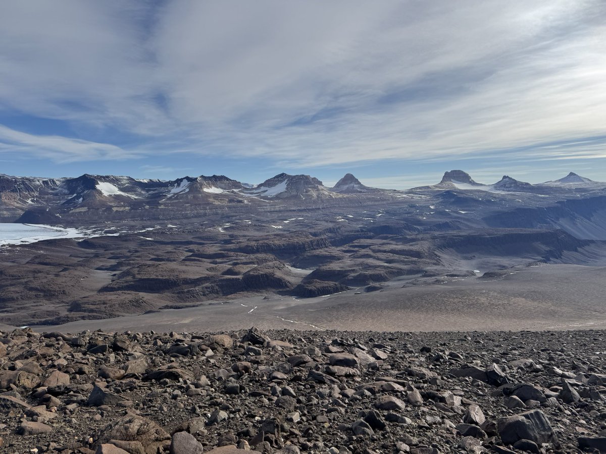 Dan Morgan tweet media