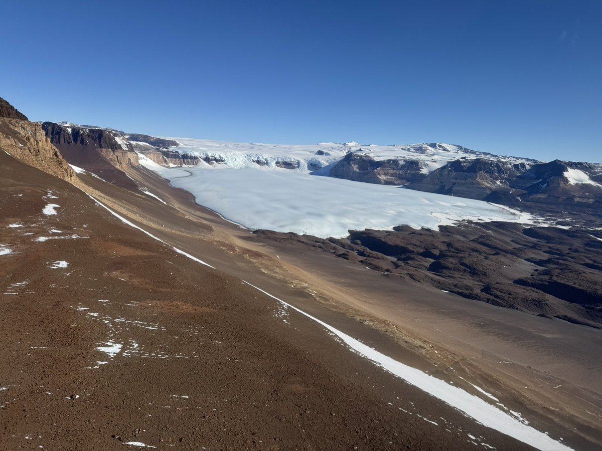 Dan Morgan tweet media