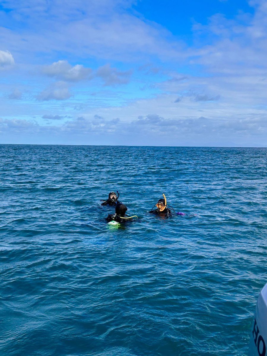 CandyIrmef's tweet image. I thought of a delicious dinner, hhh