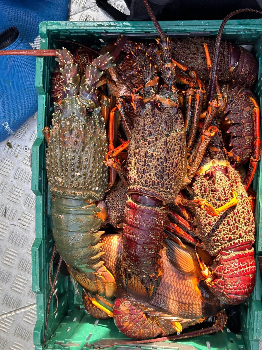 CandyIrmef's tweet image. I thought of a delicious dinner, hhh