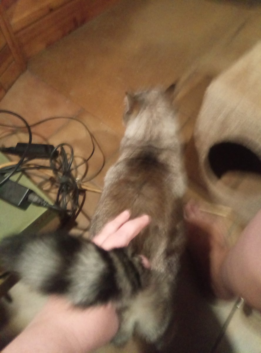 Butt needs a scratchie as well.