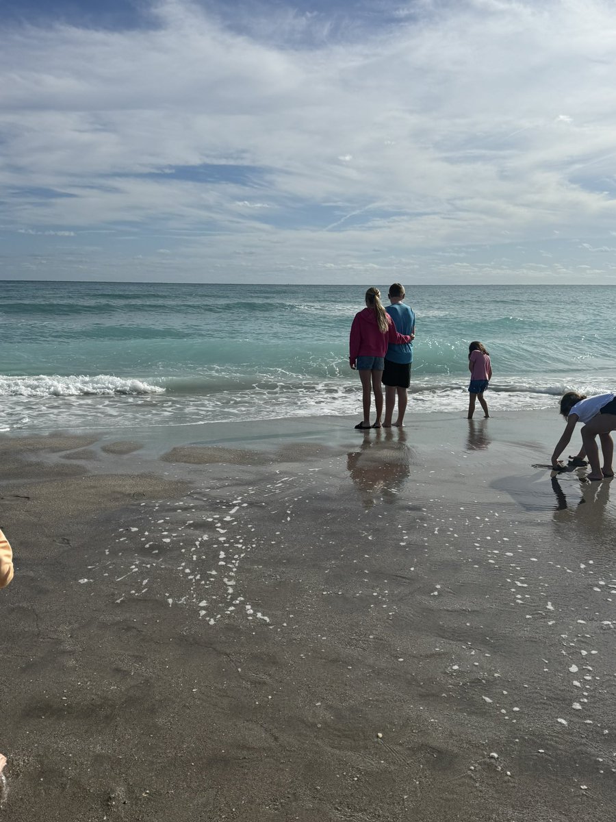 Loggerhead turtle being reintroduced to the sea at Juno beach 🐢❤️<a href="/LoggerheadMC/">Loggerhead Marinelife Center</a>