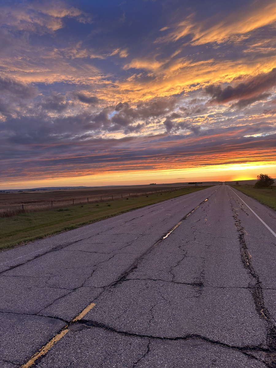 Mark Sutherland tweet media