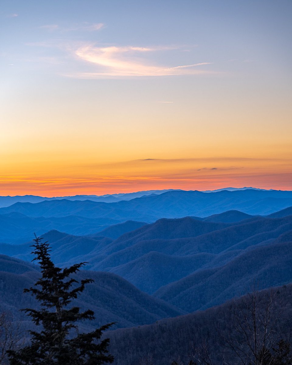 Asheville Pictures tweet media