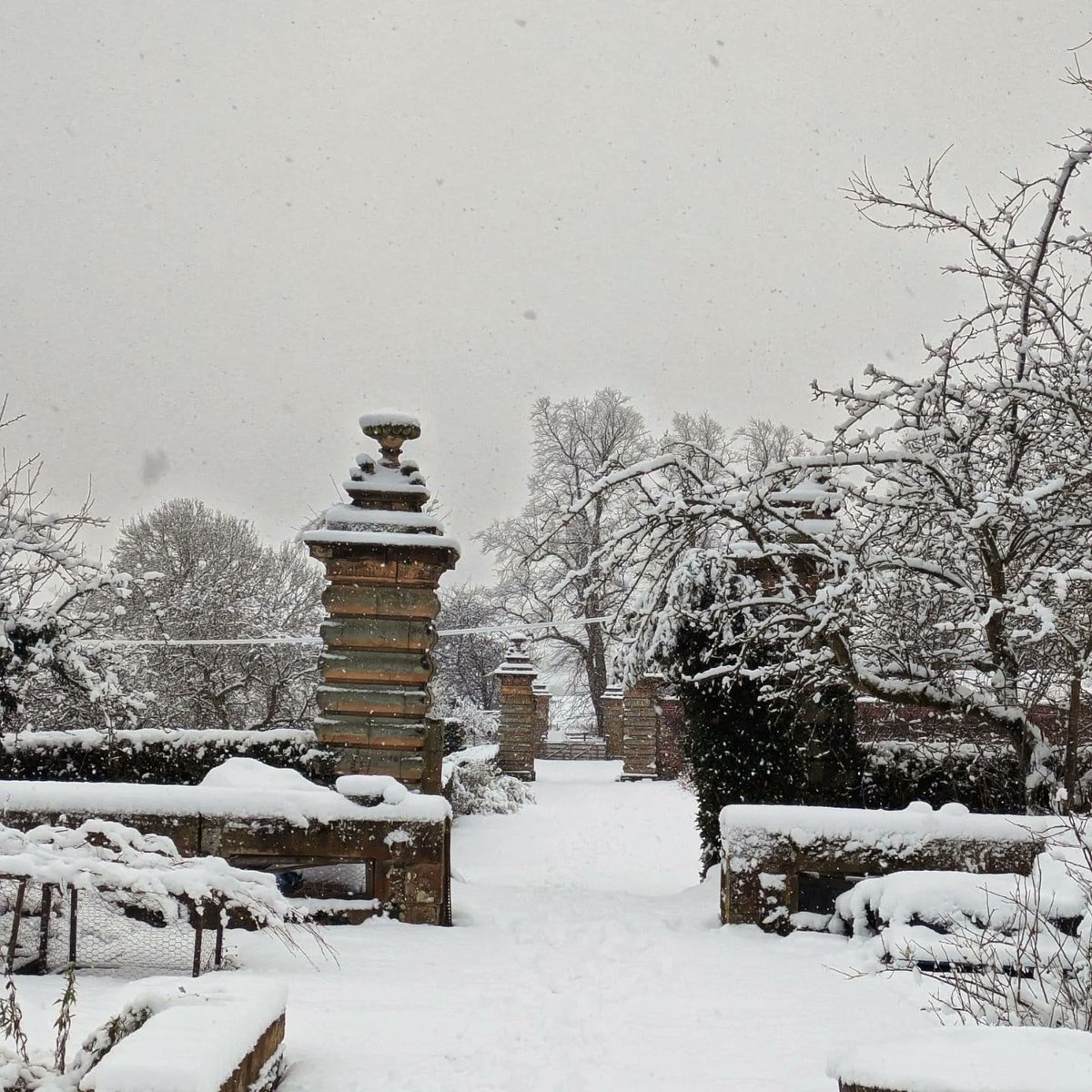 Castle Howard tweet media