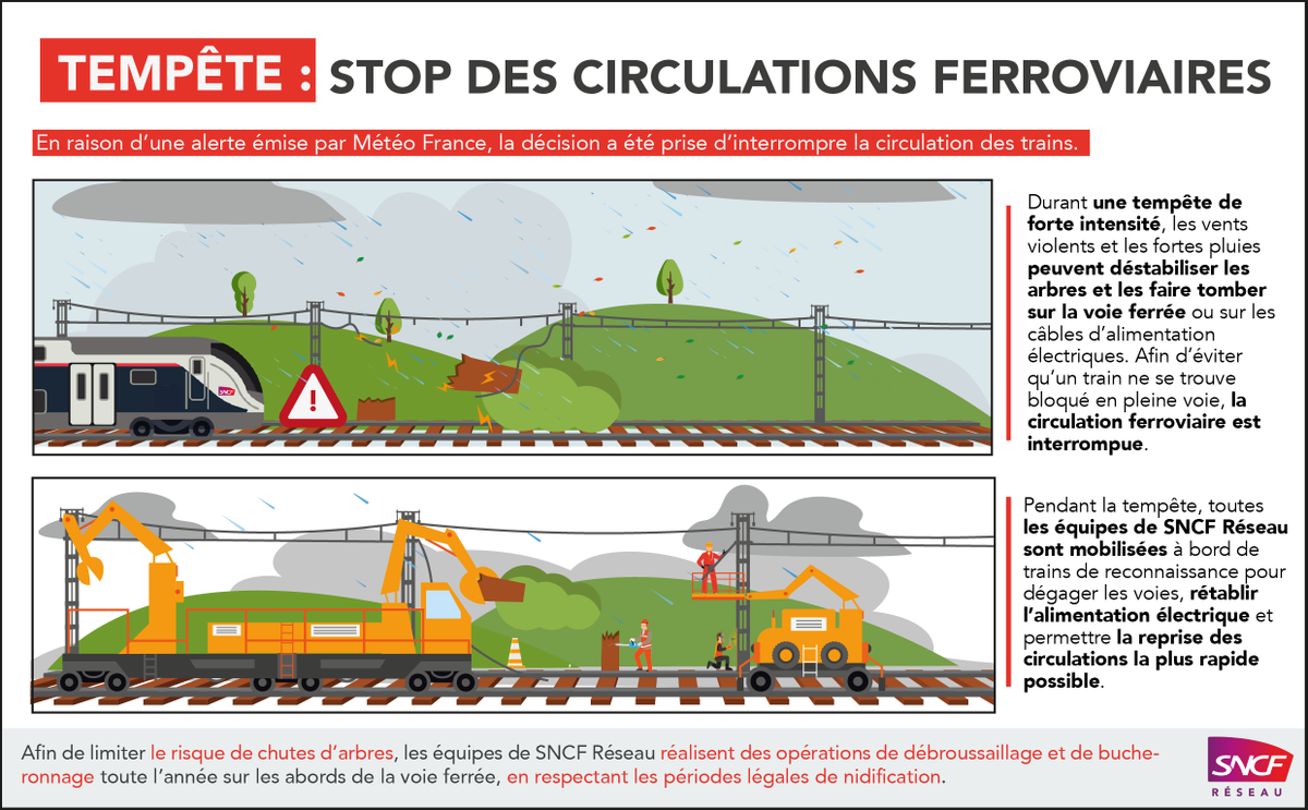 Rémi Train Centre Val de Loire tweet media