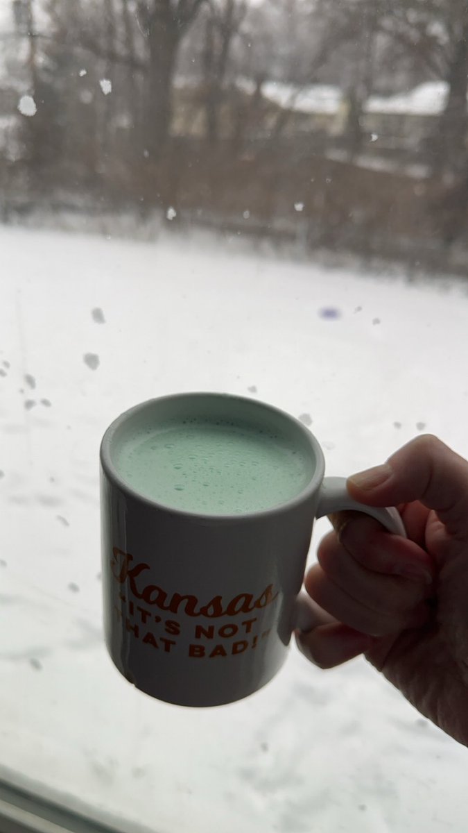 Just a little lull in the blizzard