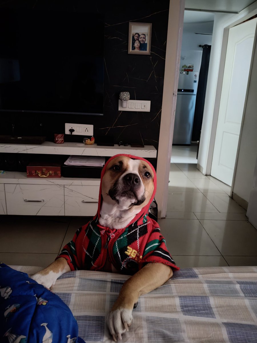 Aditya Dev tweet media