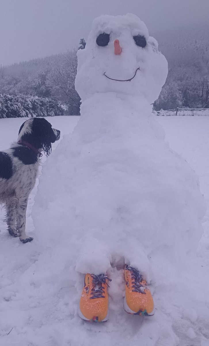 clonmel_run's tweet photo. Oohh another serious contender here from Susan Moore. Her parkrun snowman is wearing her parkrun Ireland new brooks shoes. 3rd outing for her shoes @parkrunIE @brooksrunning https://t.co/zs6sTWEI8o