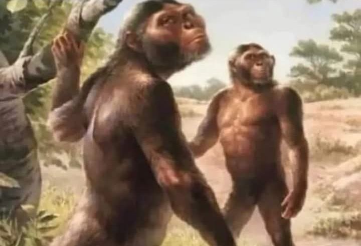 Hombres dejando de hacer todo lo que estaban haciendo para ver el gol en el partido que tenían puesto de fondo: