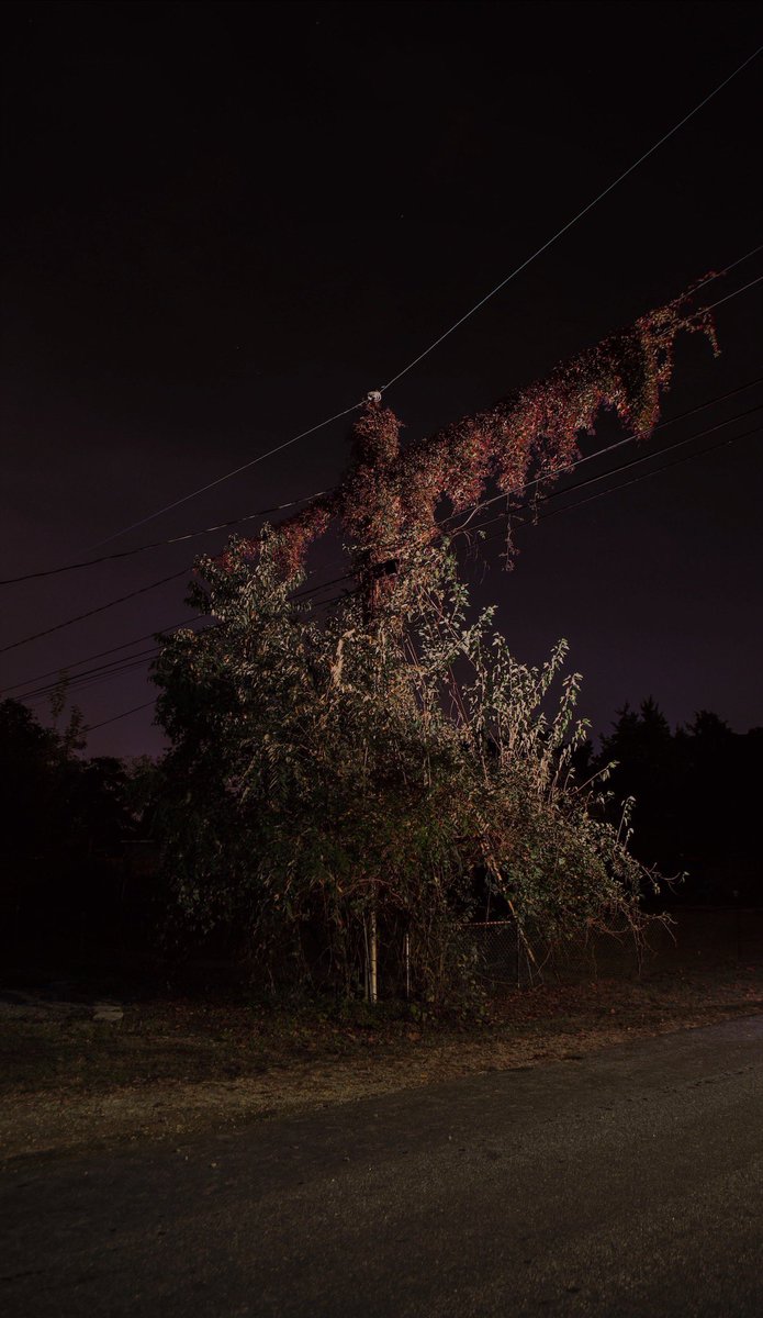 Castlesystems tweet media