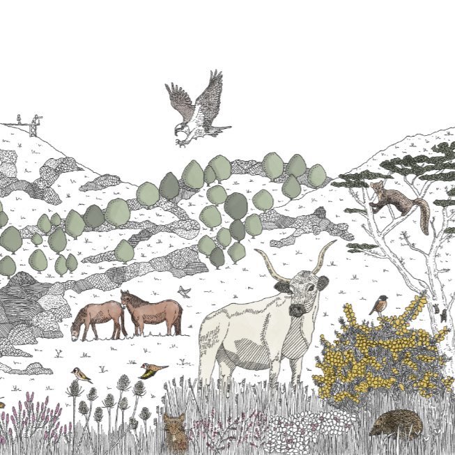 Today is the last day you can donate to this inspiring project from <a href="/TirNatur/">Tir Natur</a> looking to purchase over 1000 acres– if successful it would be the largest rewilding project in Wales ! Please donate and share crowdfunder.co.uk/p/cynefin-appe…