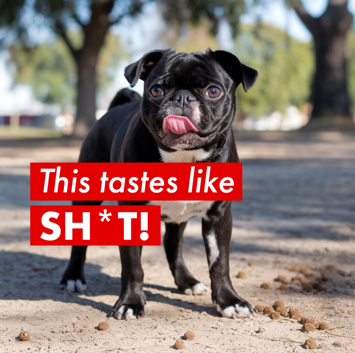 Justin Jones tweet media