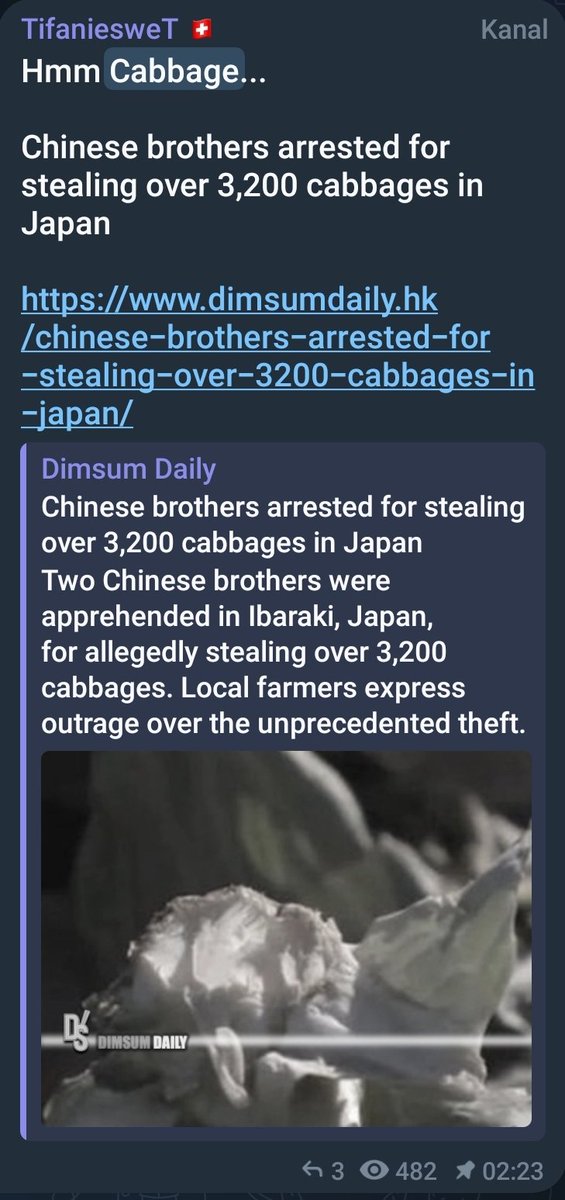 TifaniesweTs's tweet image. #cabbage 
#hotdogs 

Brace for impact

Message sent!