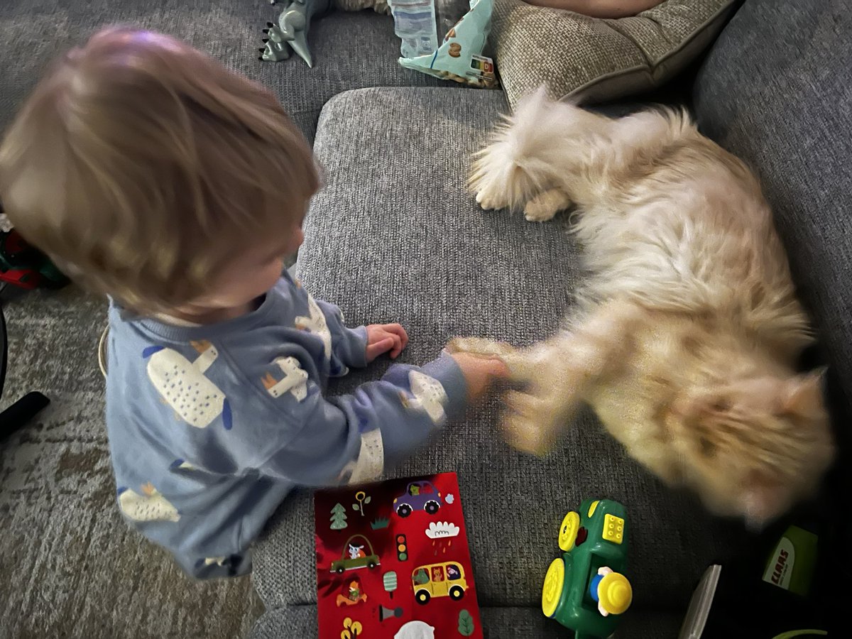 Tippzje en Mats ❤️