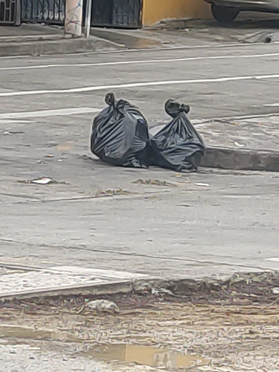 Maelov1983's tweet photo. @urvaseo @alcaldiagye @aquilesalvarez Coop pastor Vera recién pasa el carro de la  basura y gente alrededor del sector botan basura ni que decir gente extraña que vienen en carros tricimotos dejan su basura por favor poner letreros o cámaras para que lo graben y paguen multan. https://t.co/J7NL058fEz