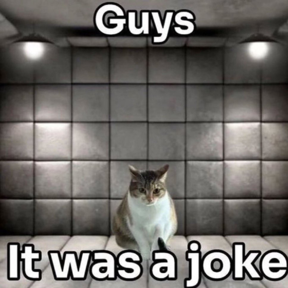 LiterallyMeCats (@literallymecats) on Twitter photo 