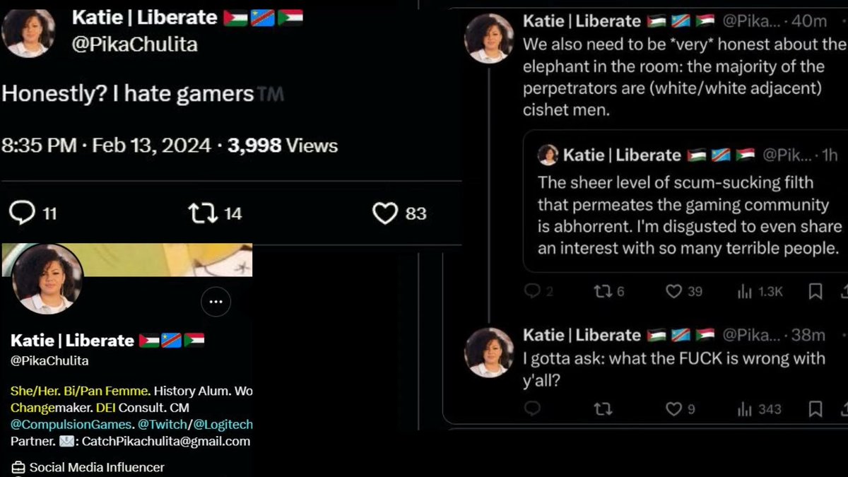 Cyael's tweet photo. Compulsion Games HATES GAMERS &amp; seeks to "rewrite history" as hard as they want to redefine racism. They know where to shove their Mandatory DEI Sweet Baby Inc Game. If highlighting their own words makes me Anti-Woke ohhhh noooo lol. https://t.co/j8IDaJVKYj