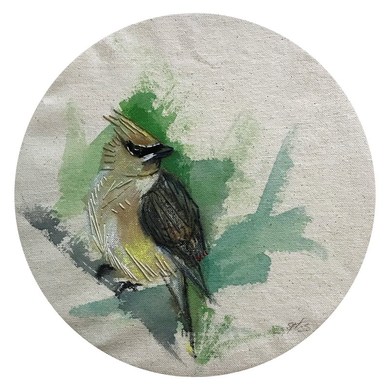 Its #NationalBirdDay! Birds know no boundaries, crossing borders &amp; connecting ecosystems. It’s so crucial to protect the habitats they rely on, ensuring they can continue to thrive. After all, the migratory birds gracing your skies today are someone else’s backyard birds tomorrow